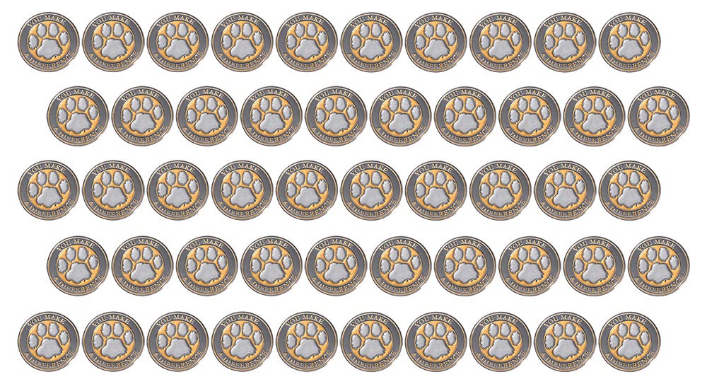 Anderson's Appreciation Award Glitter Pin Packs, Lapel Pins, Teacher Gifts, Staff, Volunteers - Image 3