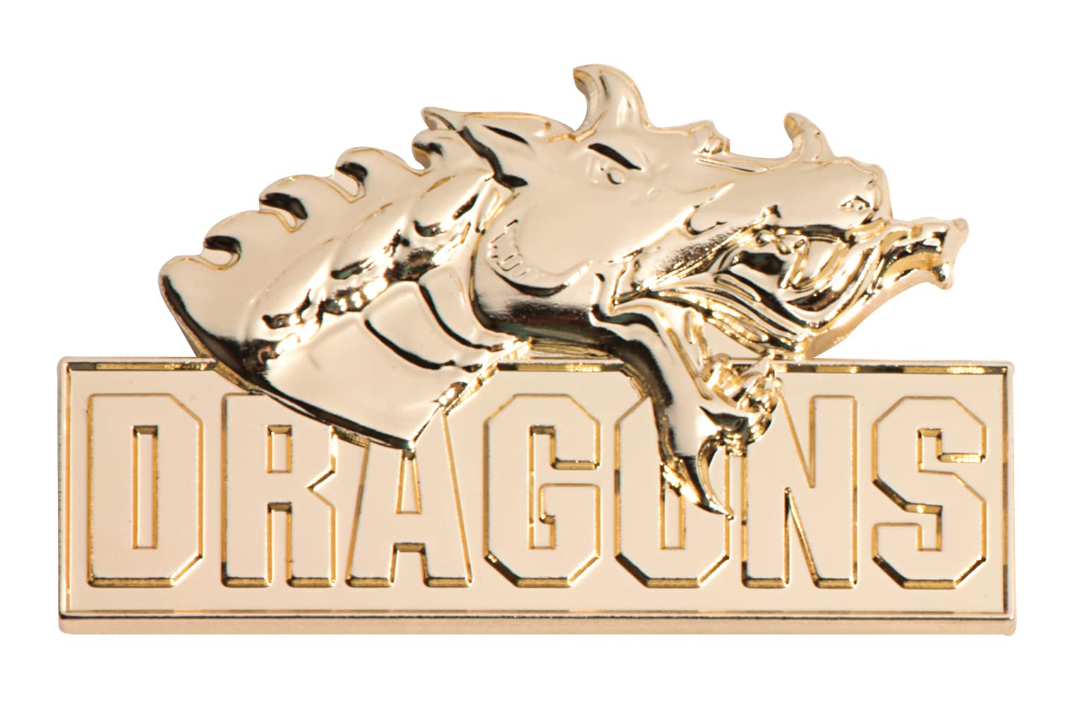 Anderson's Dragons School Mascot Lapel Pin Packs, School Spirit, Awards