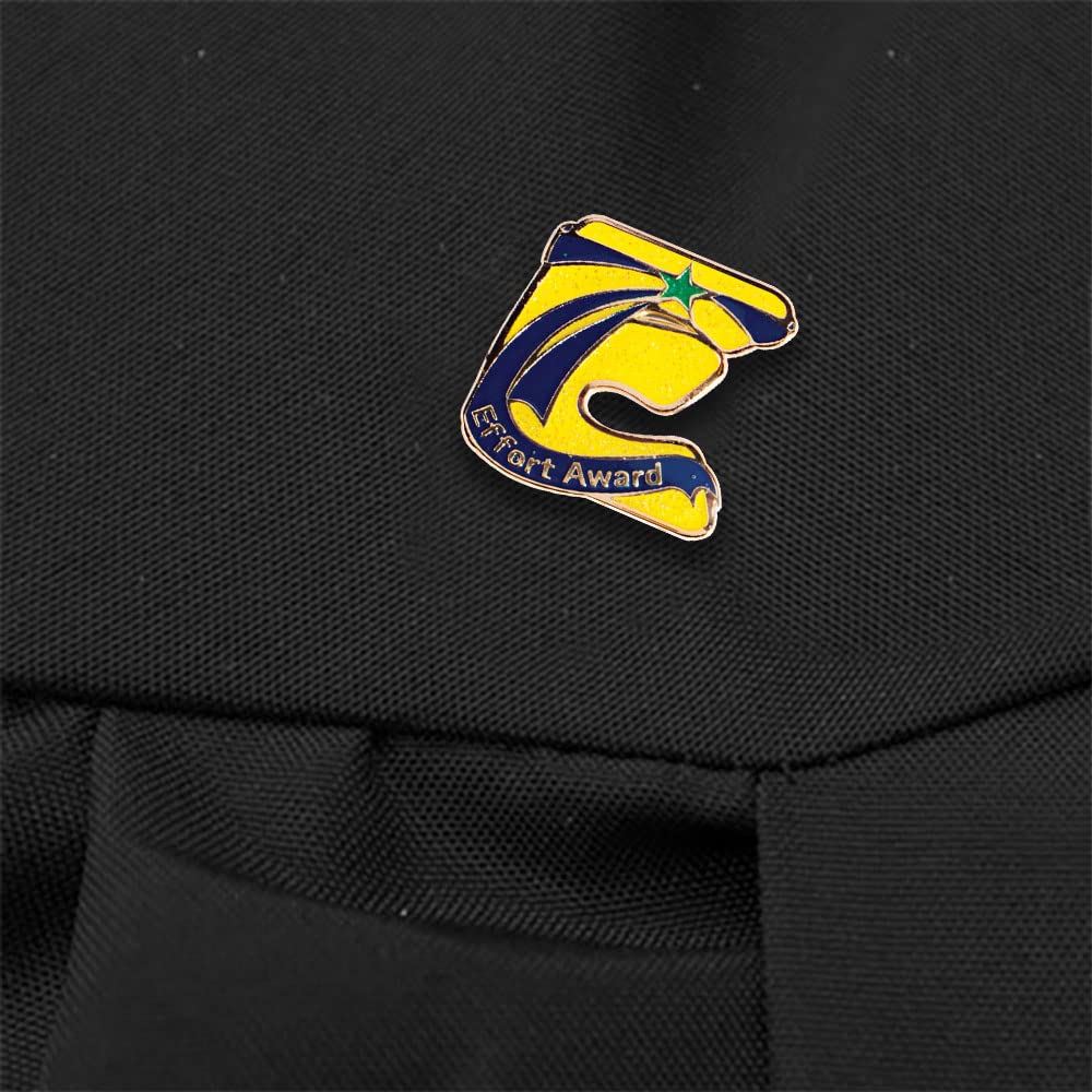 Anderson's Glitter Star Student Award Pin Packs, Lapel Pins, Perfect For Academic Excellence, Student Leadership, Recognition, Rewards, Achievements, Motivation - Image 3