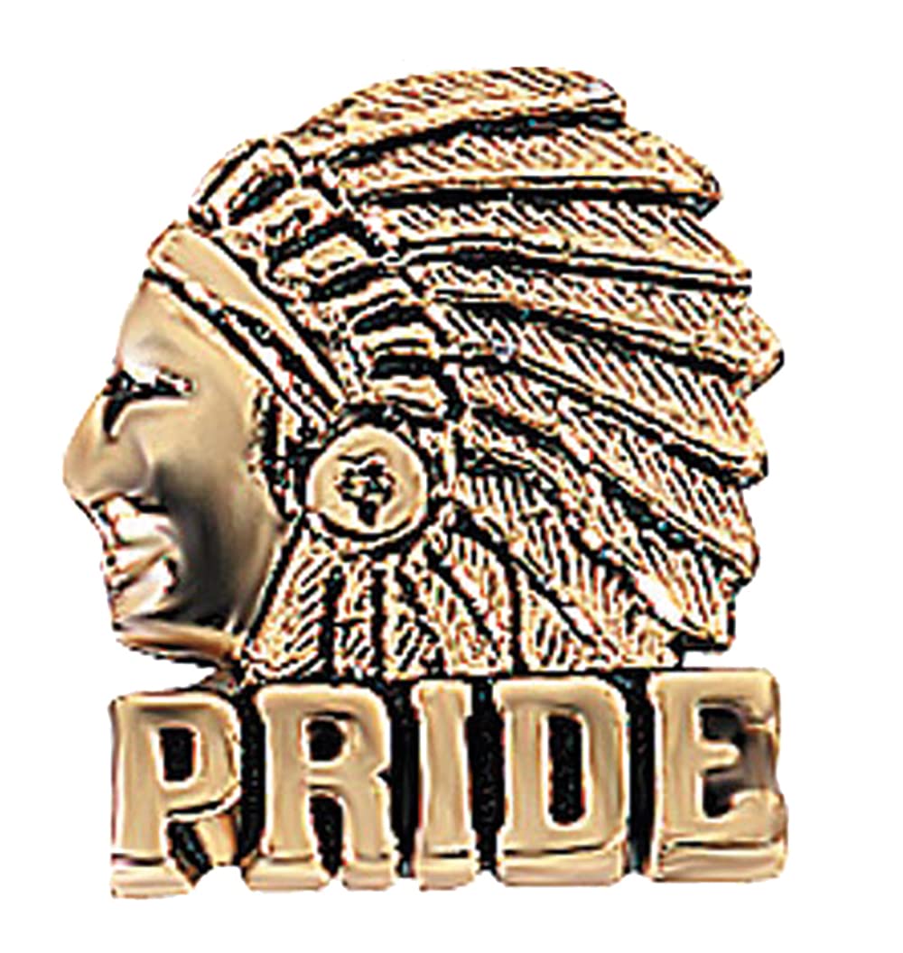 Anderson's Indian School Mascot Lapel Pin Packs, School Spirit, Awards