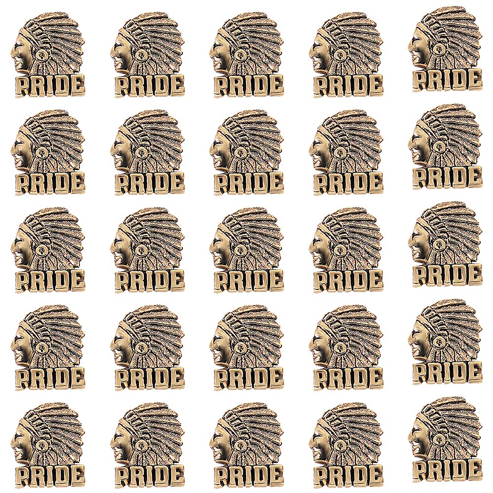 Anderson's Indian School Mascot Lapel Pin Packs, School Spirit, Awards - Image 2