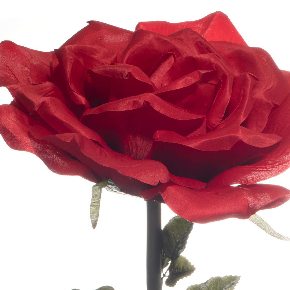Anderson's Jumbo Red Rose - 44 inches - Image 2