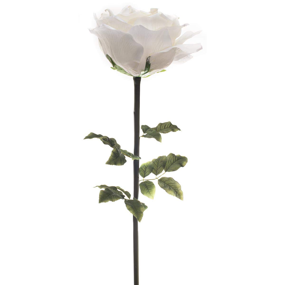 Anderson's Jumbo White Rose - 65 inches