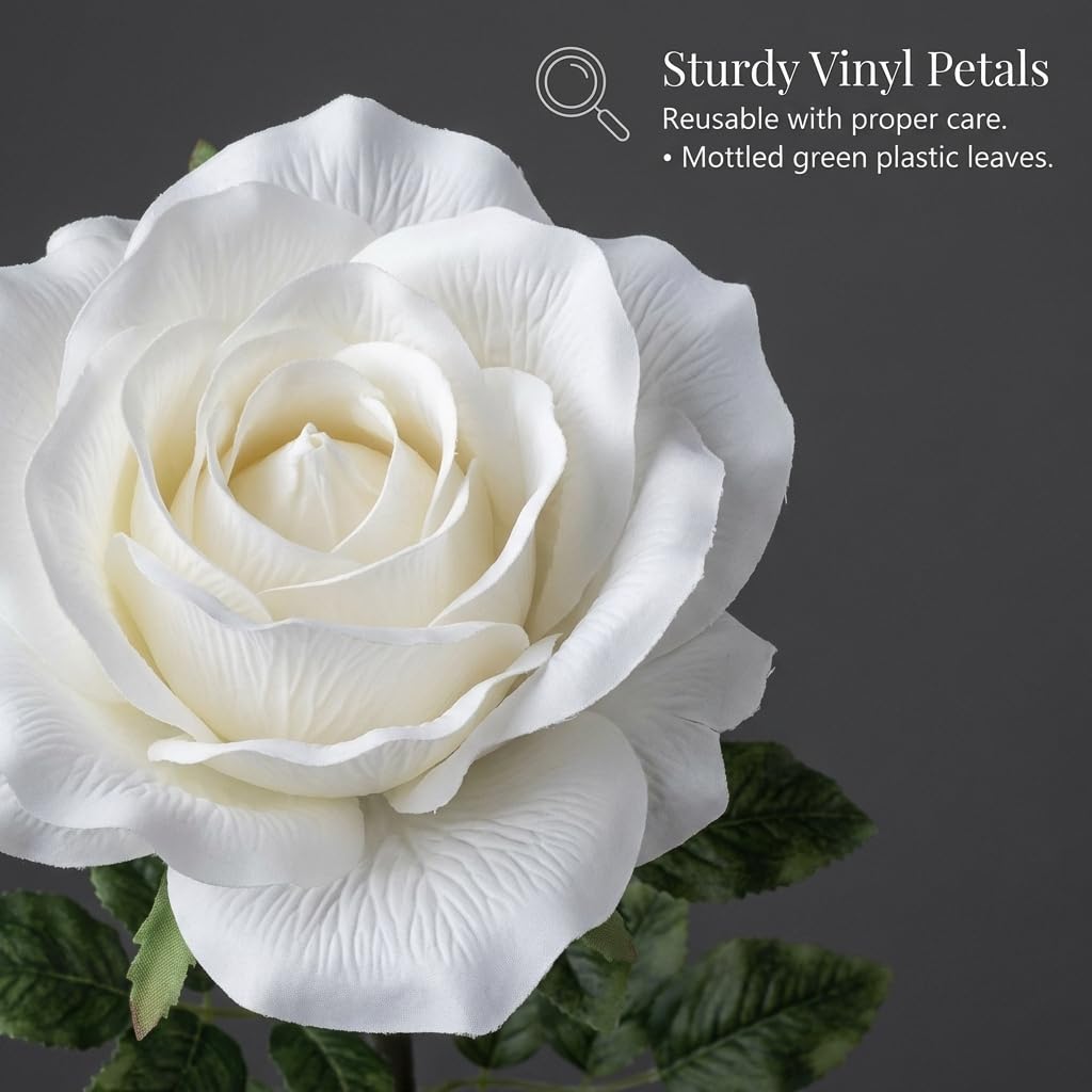 Anderson's Jumbo White Rose - 65 inches - Image 5