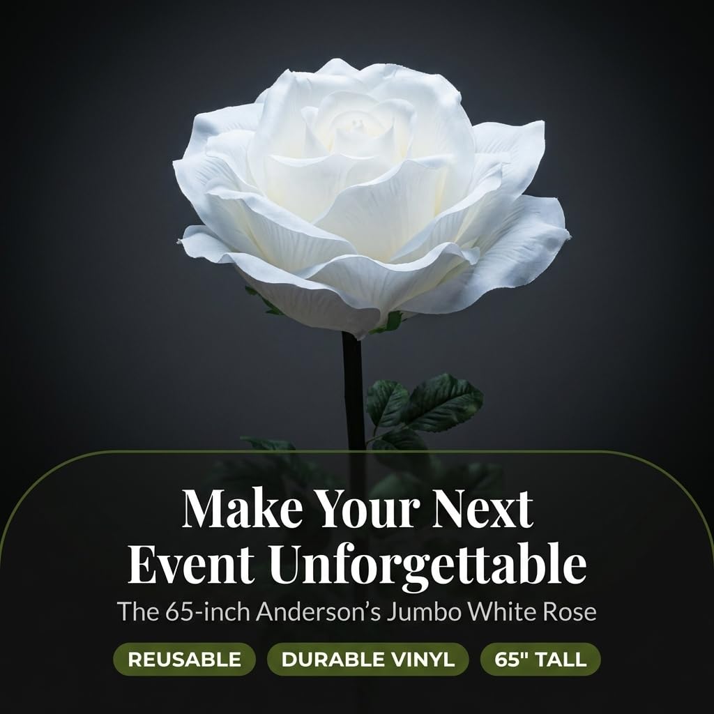 Anderson's Jumbo White Rose - 65 inches - Image 8