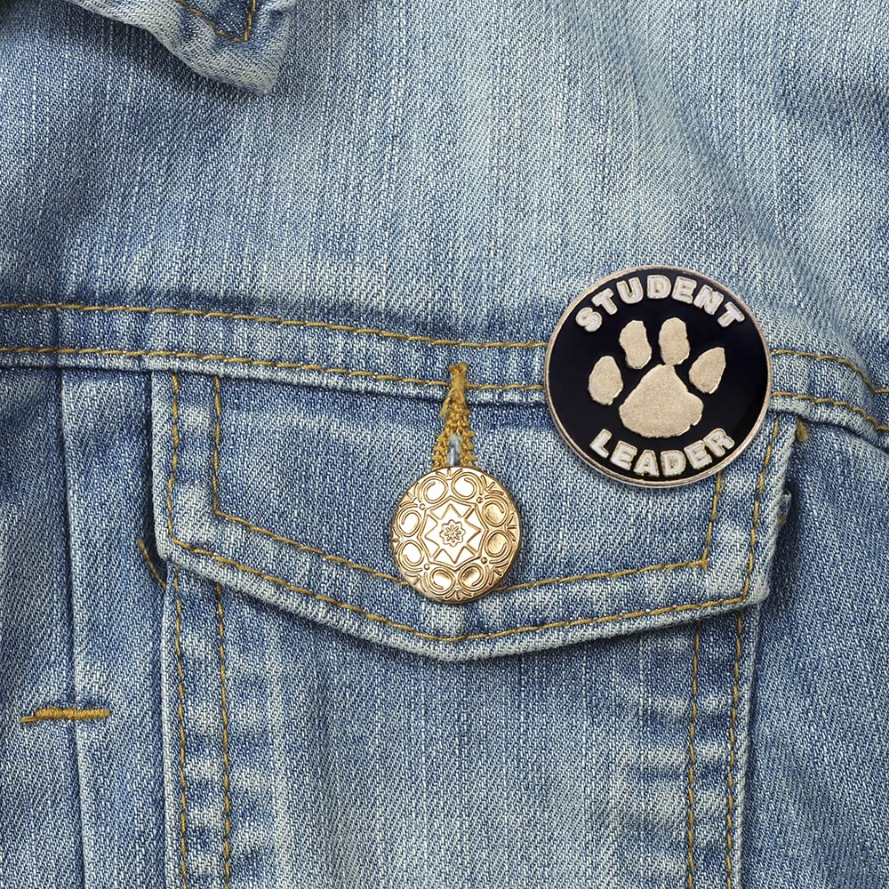 Anderson's Leadership Award Pin Packs, Lapel Pins for Student Recognition, Student Leaders, Team Captains, Club Presidents, School Spirit Events, Community Service, Academic Excellence, Leadership Programs - Image 3