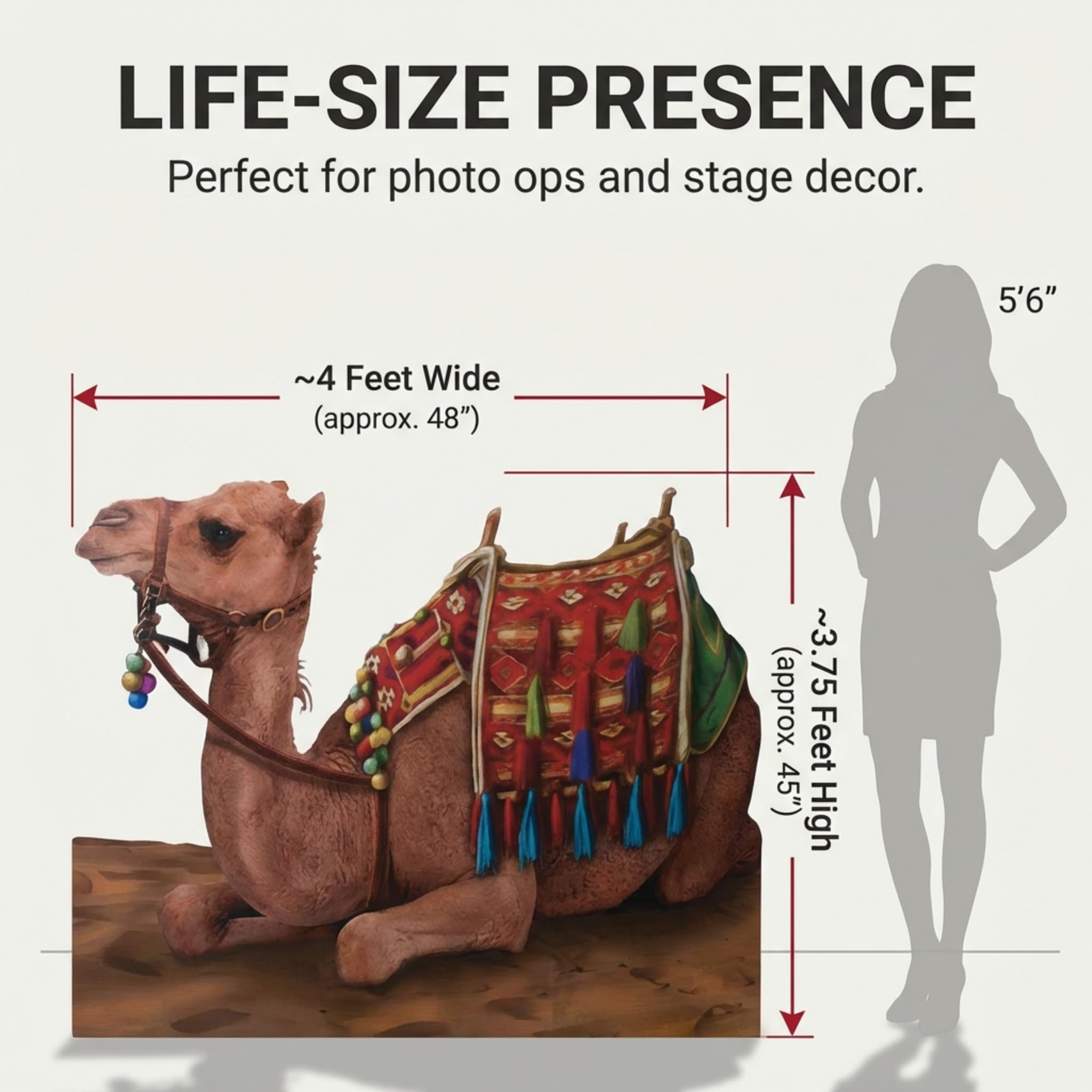 Anderson's Life-Size Sitting Camel Stand-Up, Christmas Nativity Prop, Holiday Photo Booth, Arabian Nights, Aladdin Theme, School Play, Winter Festival, Church & Event Decor - Image 2