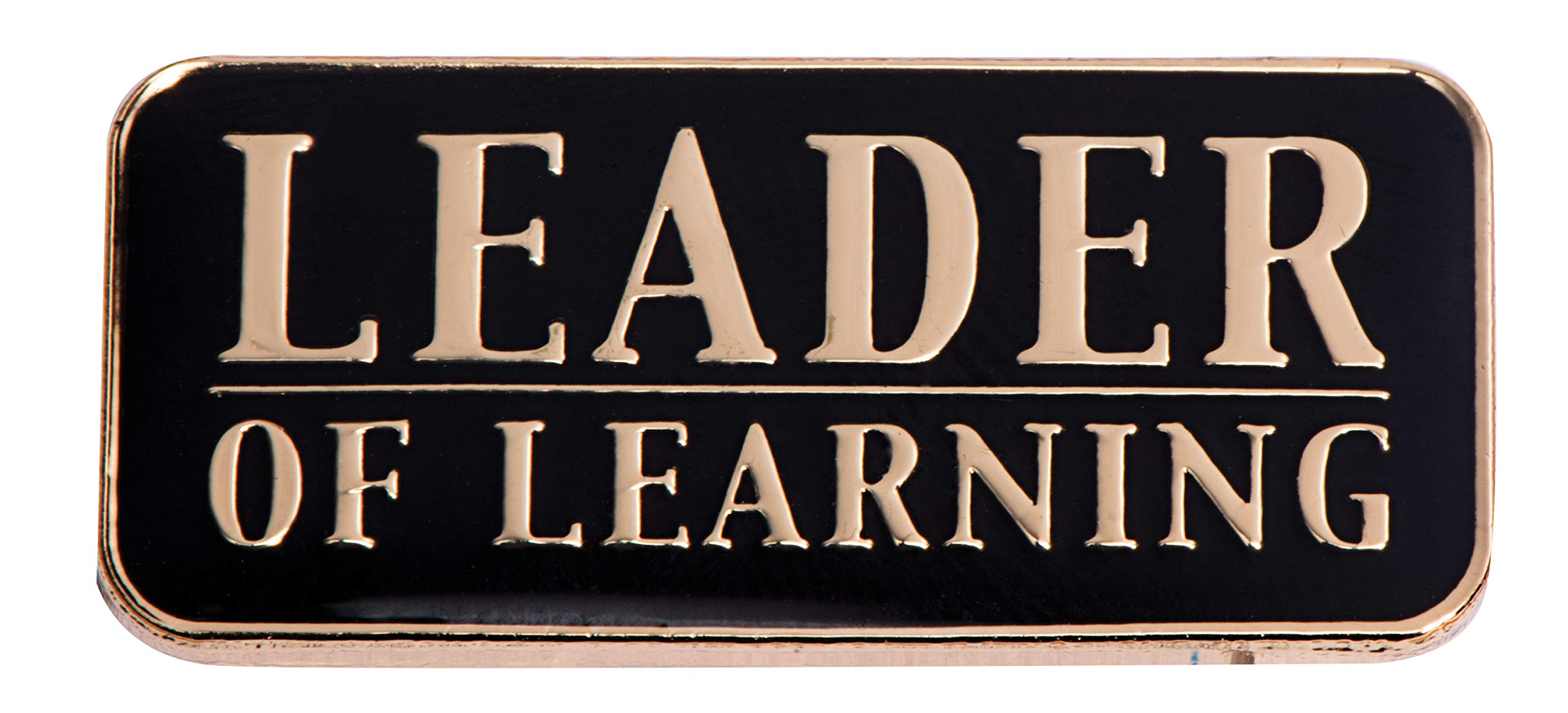 Anderson's Motivational Metal Award Pin, Leader of Learning - 3 Count