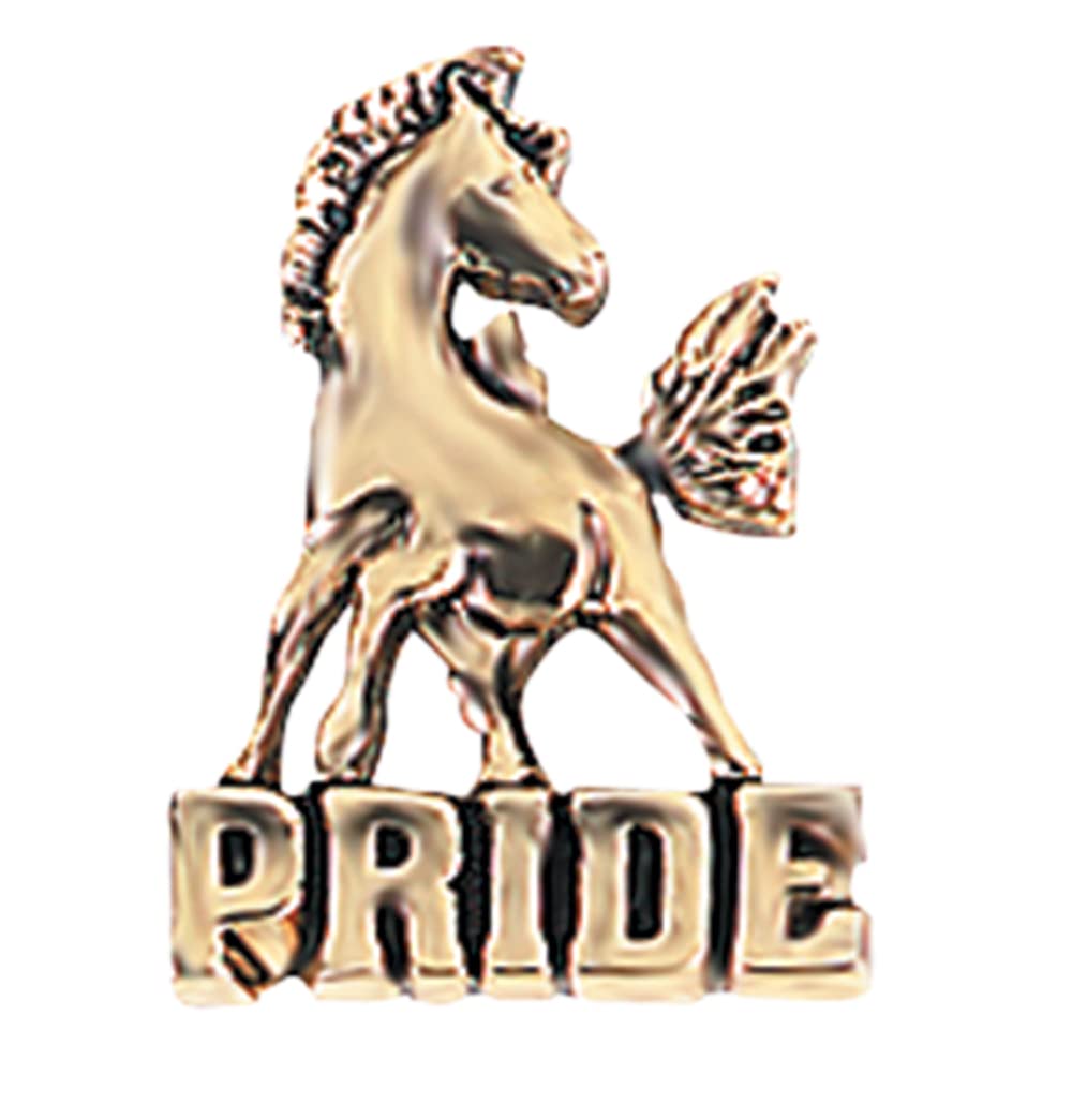 Anderson's Mustangs School Mascot Lapel Pin Packs, School Spirit, Awards