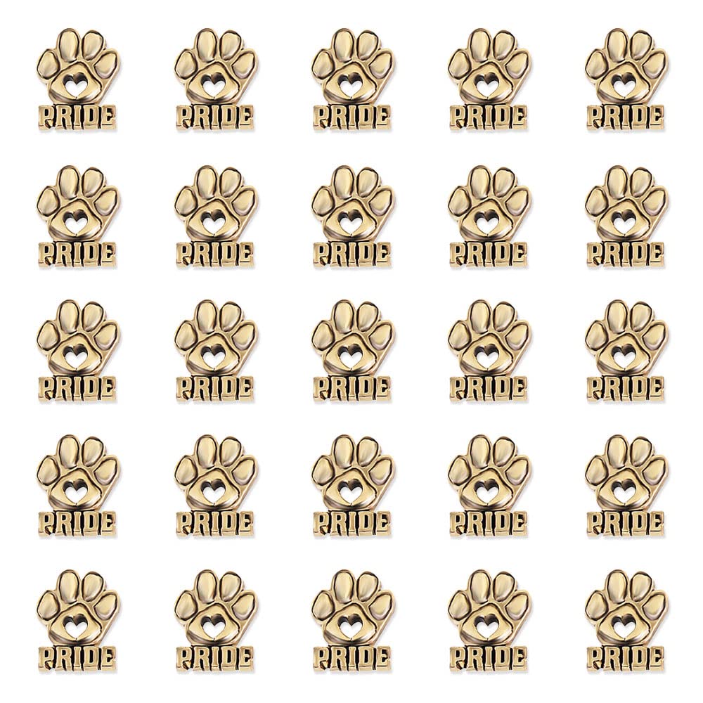 Anderson's Paw Pride Lapel Pin Packs, School Spirit, School Mascot, Student Awards, Cat, Dog, Bear Paws - Image 2