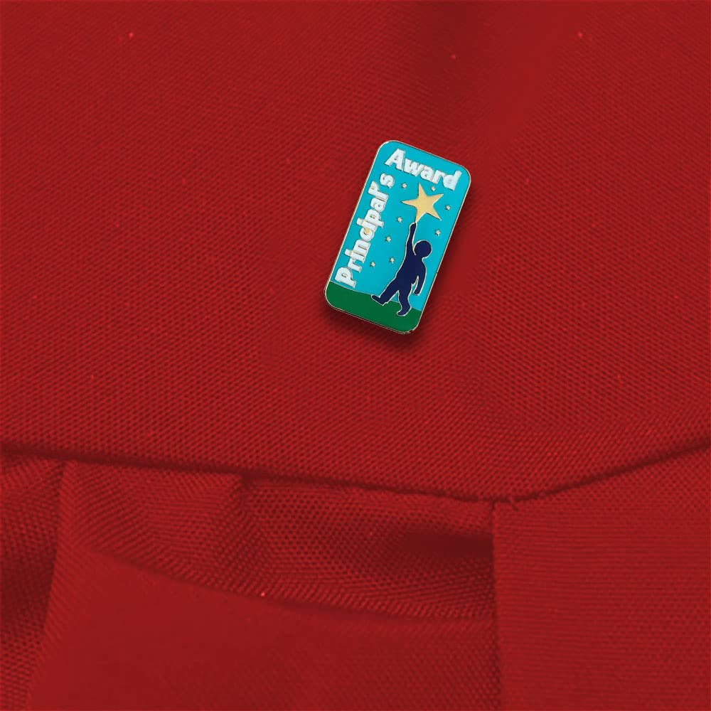 Anderson's Principal's Award Pin Packs, Lapel Pin Pack, Scholastic, Student Recognition, Academic Awards - Image 3