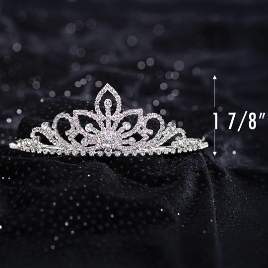 Anderson's Prom Royalty 2024 Sashes and Sets, Prom Coronation, Sashes, Crowns, Tiaras, Sets - Image 2