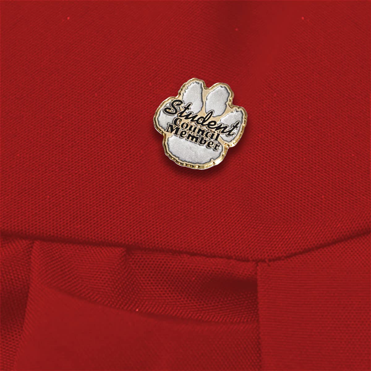 Anderson's Student Council Award Pin Packs, Lapel Pins, Scholastic, Student Recognition - Image 3