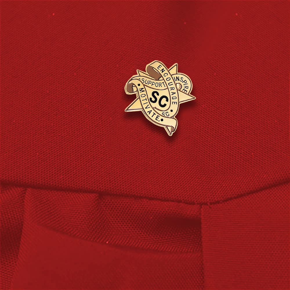 Anderson's Student Council Award Pin Packs, Lapel Pins, Scholastic, Student Recognition - Image 3