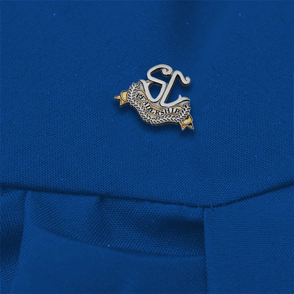 Anderson's Student Council Award Pin Packs, Lapel Pins, Scholastic, Student Recognition - Image 3
