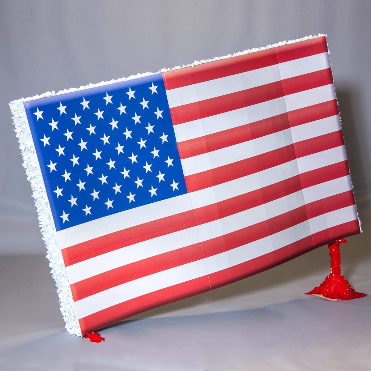 Anderson's United We Stand Complete Patriotic Parade Float Decorating Kit - Image 4