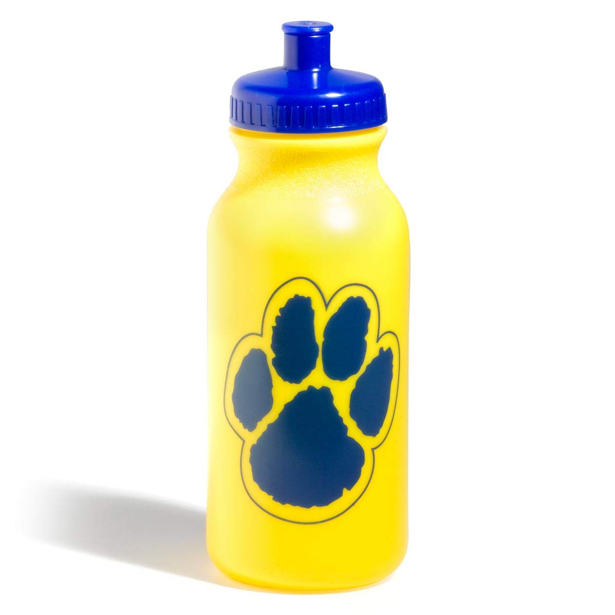 Gold/Blue Paw Accessories Set, Backpack, Water Bottle, Wristband - Image 7