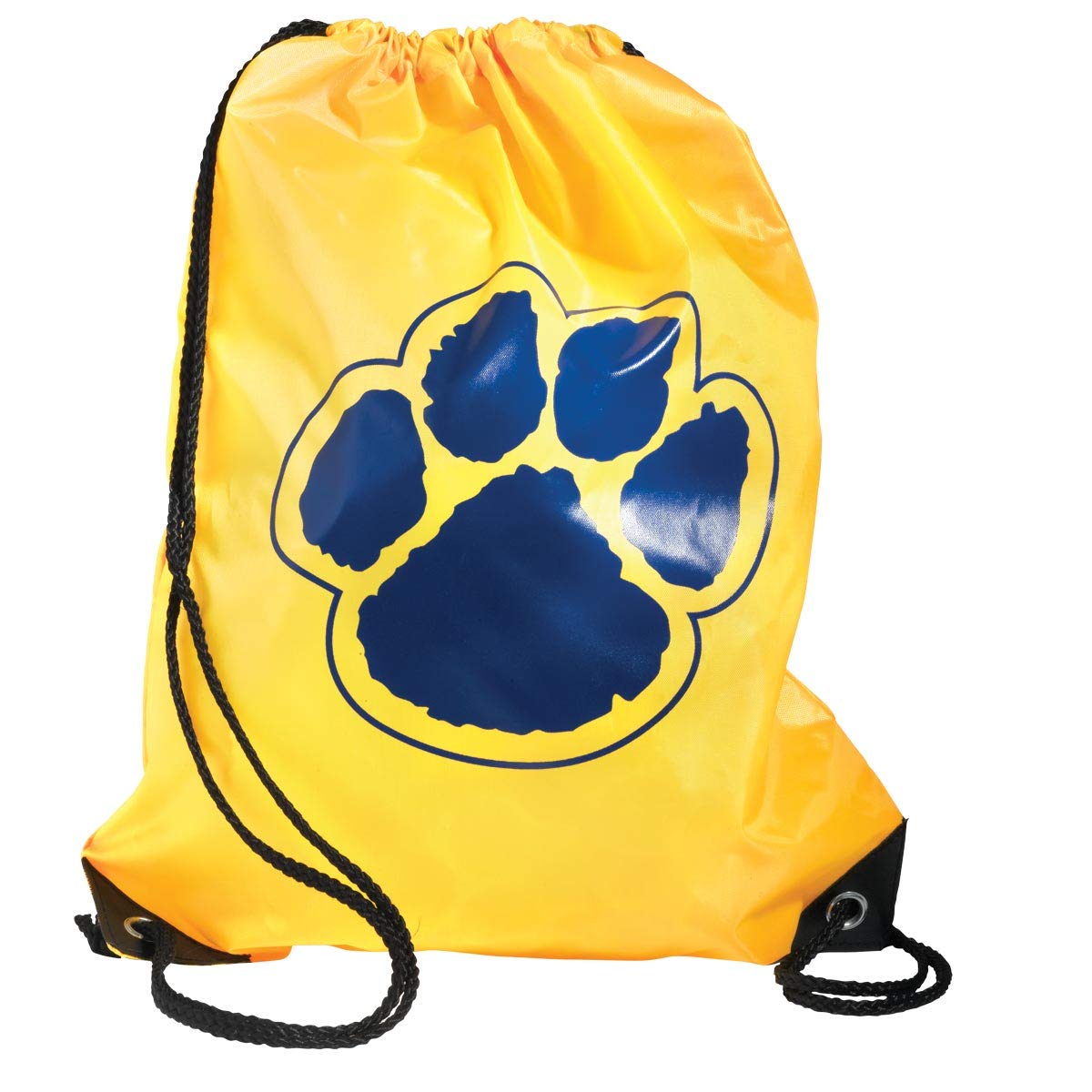 Gold/Blue Paw Accessories Set, Backpack, Water Bottle, Wristband - Image 8