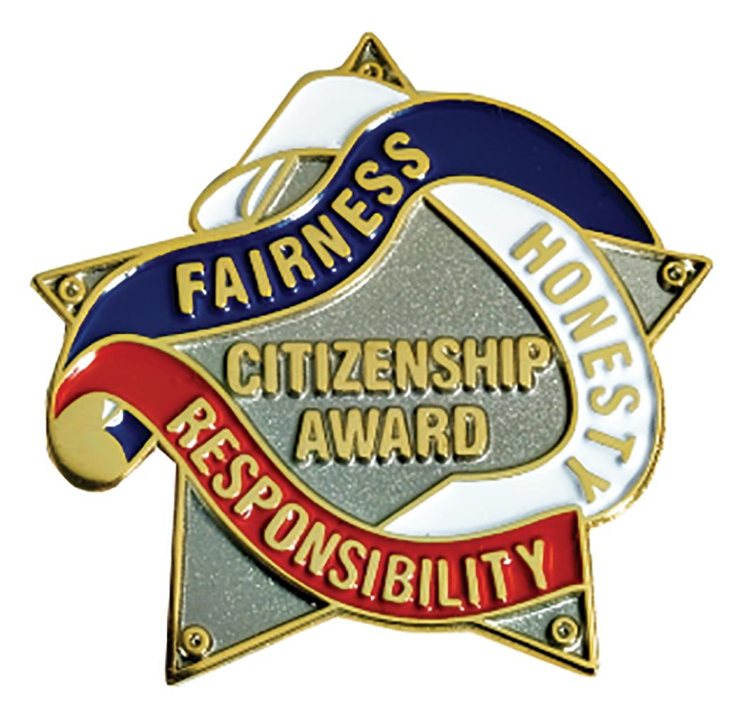Red, White and Blue Citizenship Star Award Pins, 12 Pins