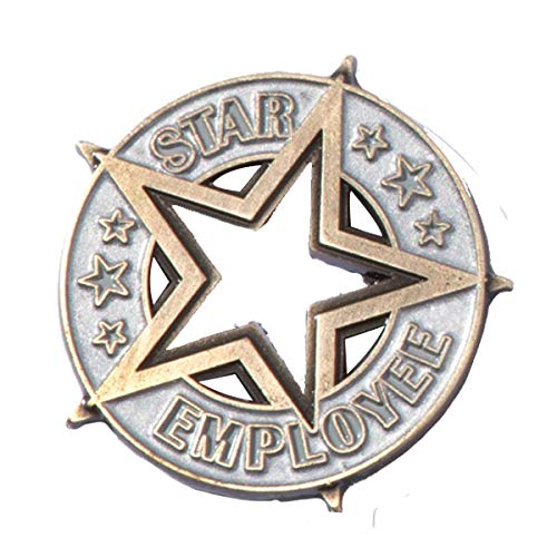 TCDesignerProducts Star Employee Pin, Gold and Silver Cut-Out Design, Workplace Recognition, Appreciation Gifts, Employee Awards, Set of 12