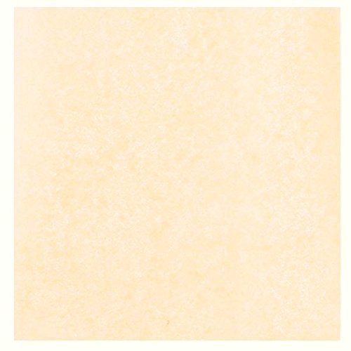 TCDesignerProducts Vanilla Tissue Parade Float Pomps Pack of 300-5-1/2 Inch Square Sheets, Parade Float Decorations for Trailer, Party Decorations